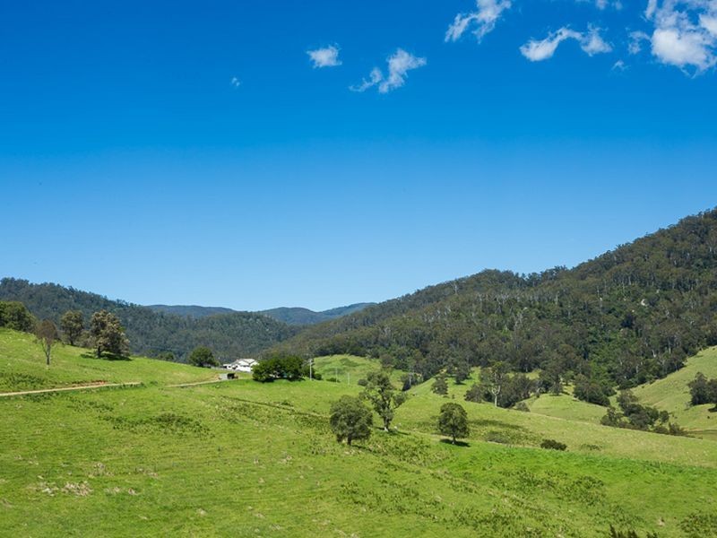 472 County Boundary Road, Cobargo NSW 2550
