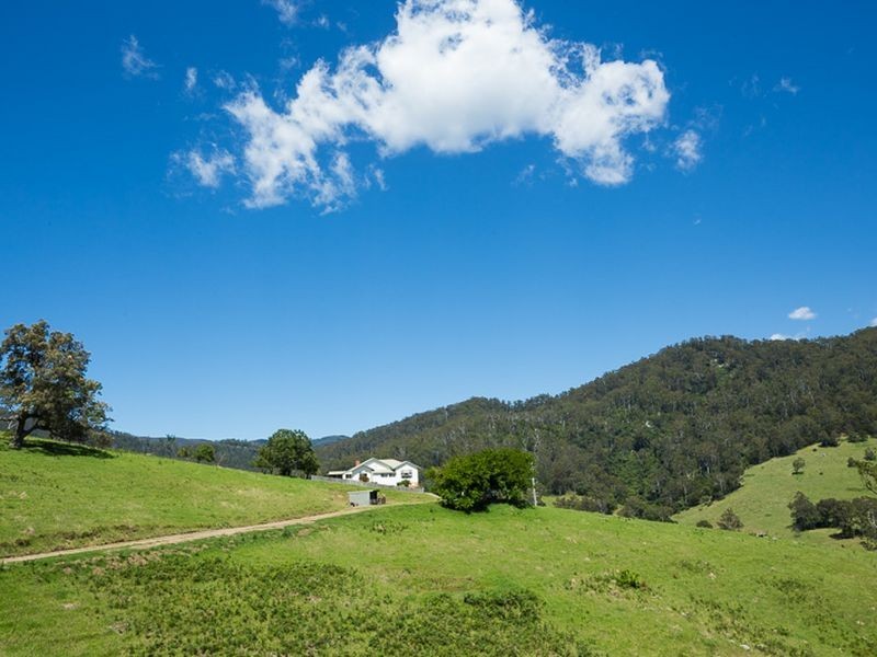 472 County Boundary Road, Cobargo NSW 2550