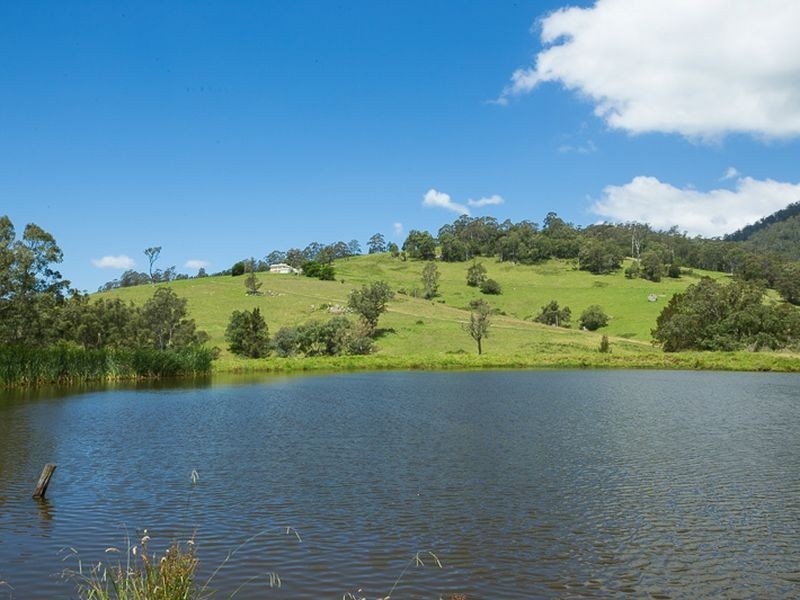 472 County Boundary Road, Cobargo NSW 2550
