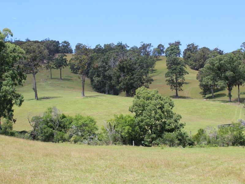 Lots 248 2 Reedy Creek Road, Akolele NSW 2546
