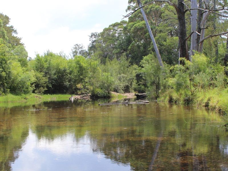 Lots 248 2 Reedy Creek Road, Akolele NSW 2546