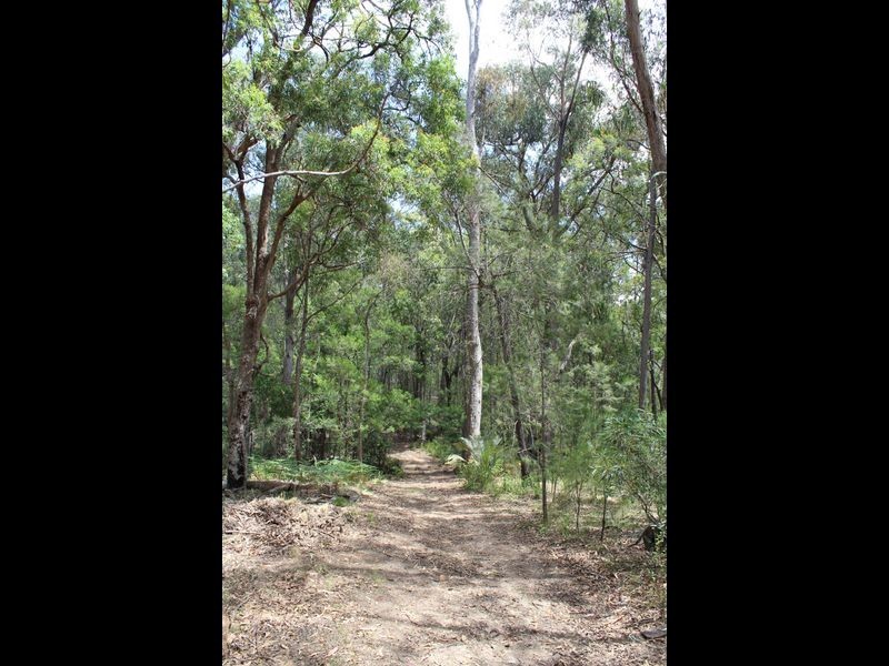 Lots 248 2 Reedy Creek Road, Akolele NSW 2546