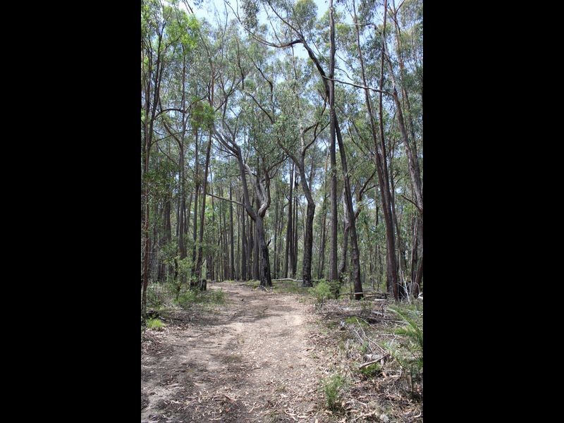Lots 248 2 Reedy Creek Road, Akolele NSW 2546