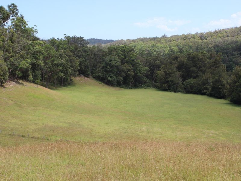 Lots 248 2 Reedy Creek Road, Akolele NSW 2546