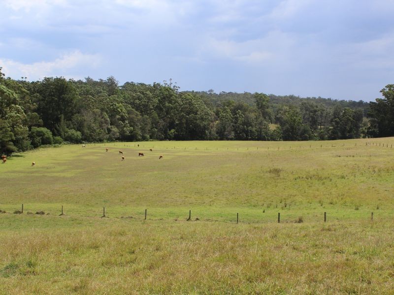 Lots 248 2 Reedy Creek Road, Akolele NSW 2546