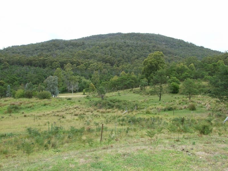 270 Moons Road, Bemboka NSW 2550