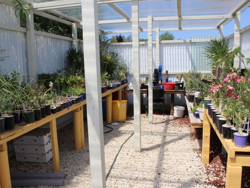 3 Wattle Place, Bega NSW 2550