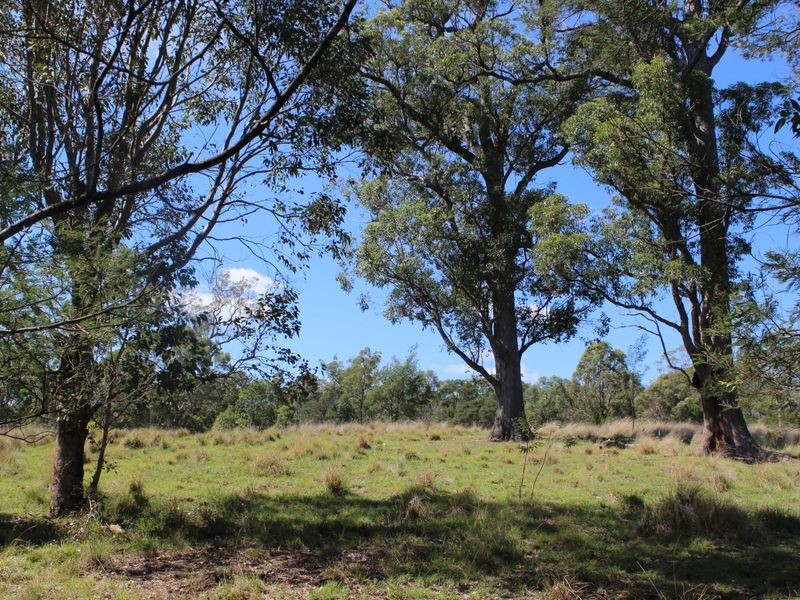 158 Link Road, Cobargo NSW 2550