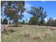 158 Link Road, Cobargo NSW 2550