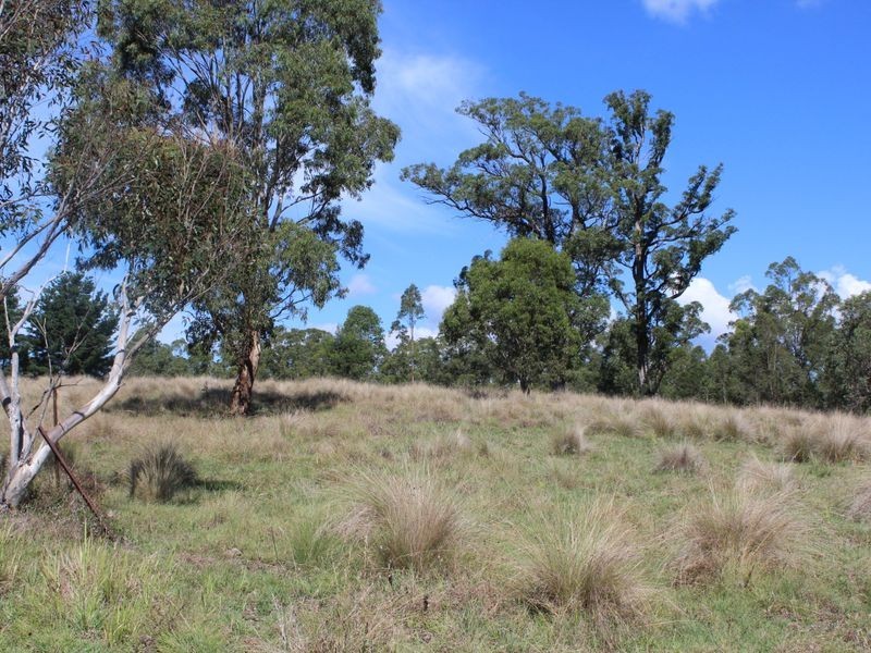 158 Link Road, Cobargo NSW 2550