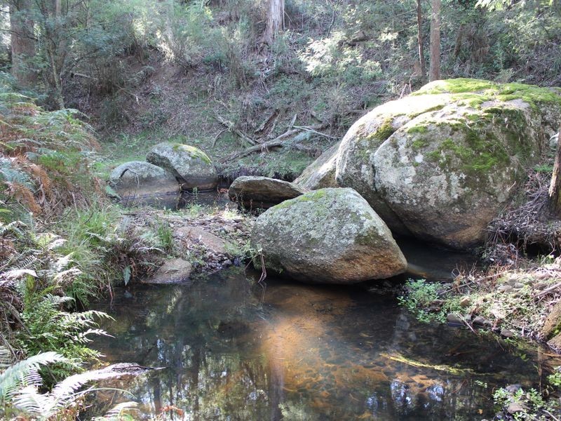 Lot 3 Harris Road, Brogo NSW 2550