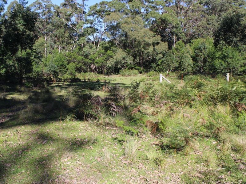 Lot 3 Harris Road, Brogo NSW 2550