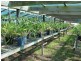 23 Christophers Road, Quaama NSW 2550