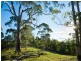 Wongaridgeree/139 Eagles Nest Road, Bega NSW 2550