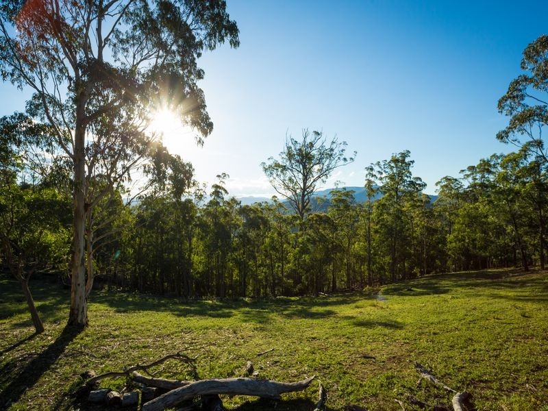 Wongaridgeree/139 Eagles Nest Road, Bega NSW 2550