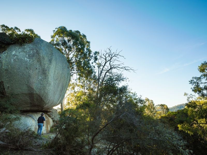 Wongaridgeree/139 Eagles Nest Road, Bega NSW 2550