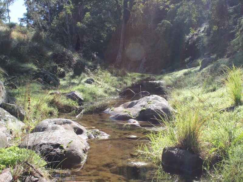Mountview Cochranes Road, Wolumla NSW 2550