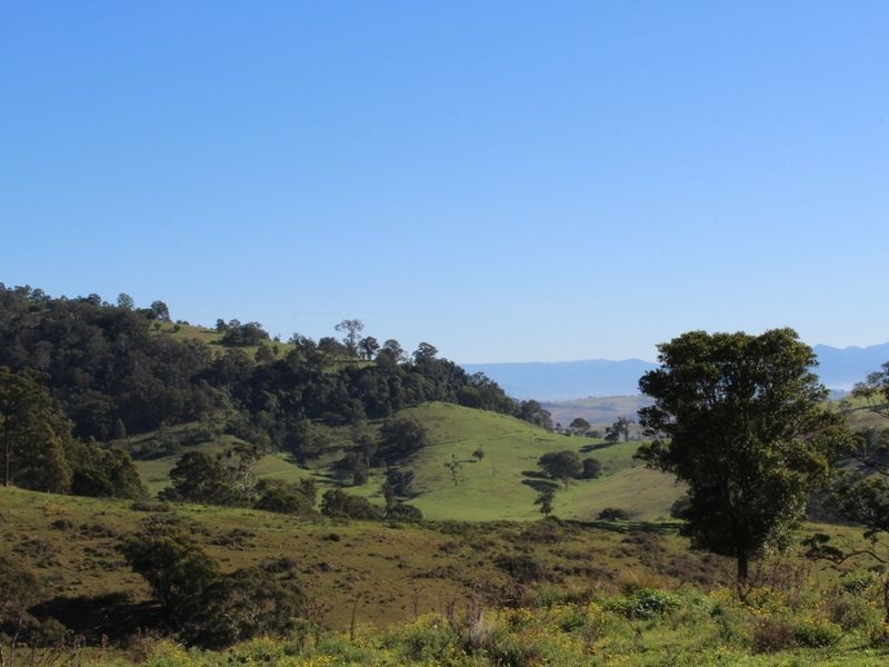Mountview Cochranes Road, Wolumla NSW 2550