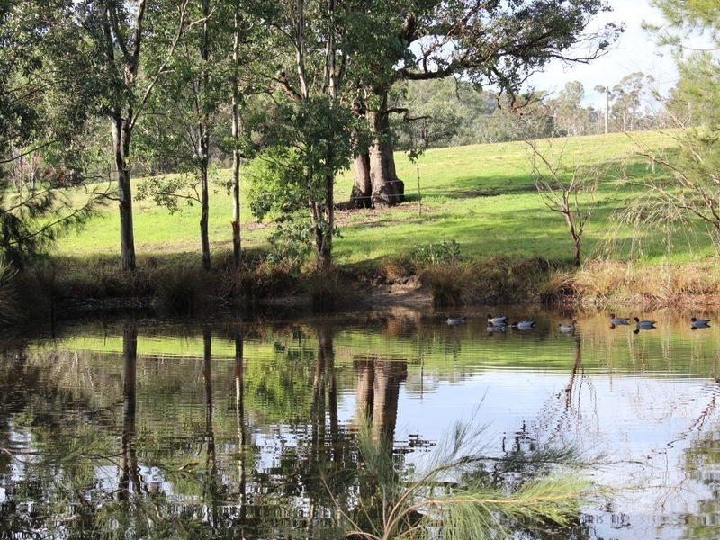 120 Old Soldiers Road, Wolumla NSW 2550