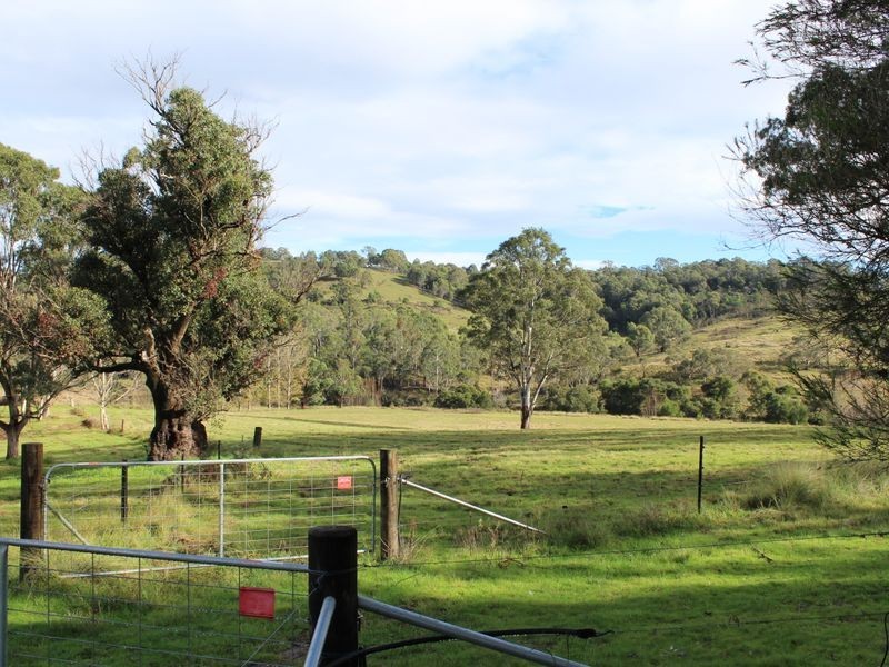 120 Old Soldiers Road, Wolumla NSW 2550