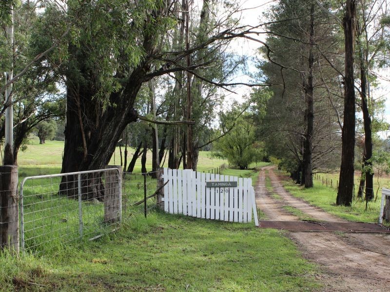 120 Old Soldiers Road, Wolumla NSW 2550