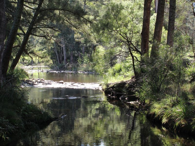 139 Bourkes Road, Yowrie NSW 2550