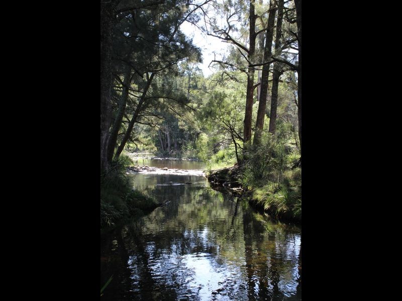 139 Bourkes Road, Yowrie NSW 2550