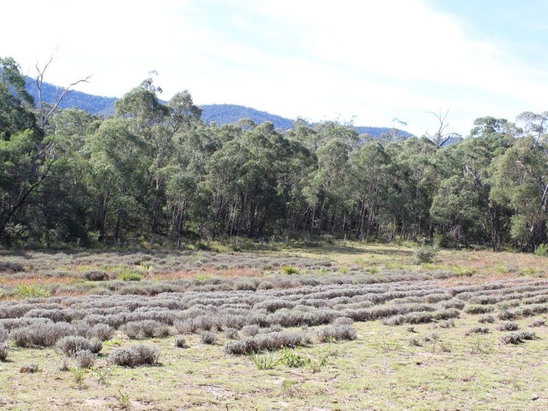 139 Bourkes Road, Yowrie NSW 2550