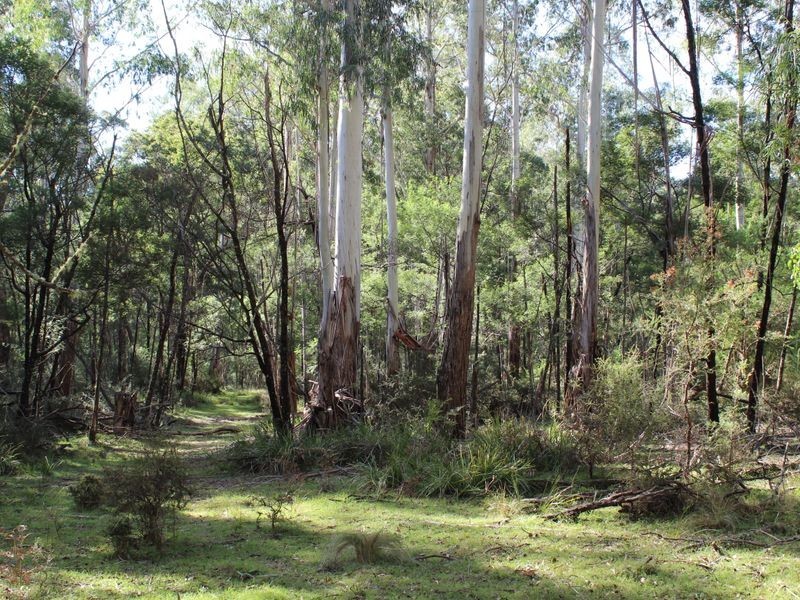 139 Bourkes Road, Yowrie NSW 2550