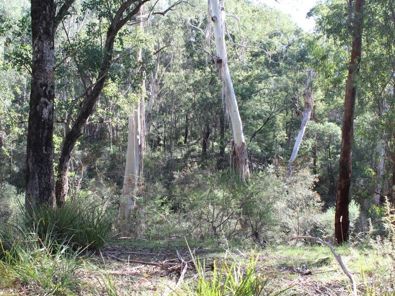 139 Bourkes Road, Yowrie NSW 2550