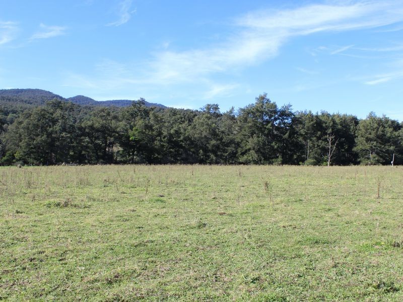 139 Bourkes Road, Yowrie NSW 2550