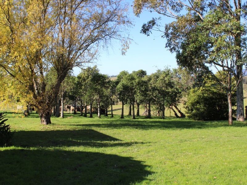 327 Alcock Collins Road, Bemboka NSW 2550