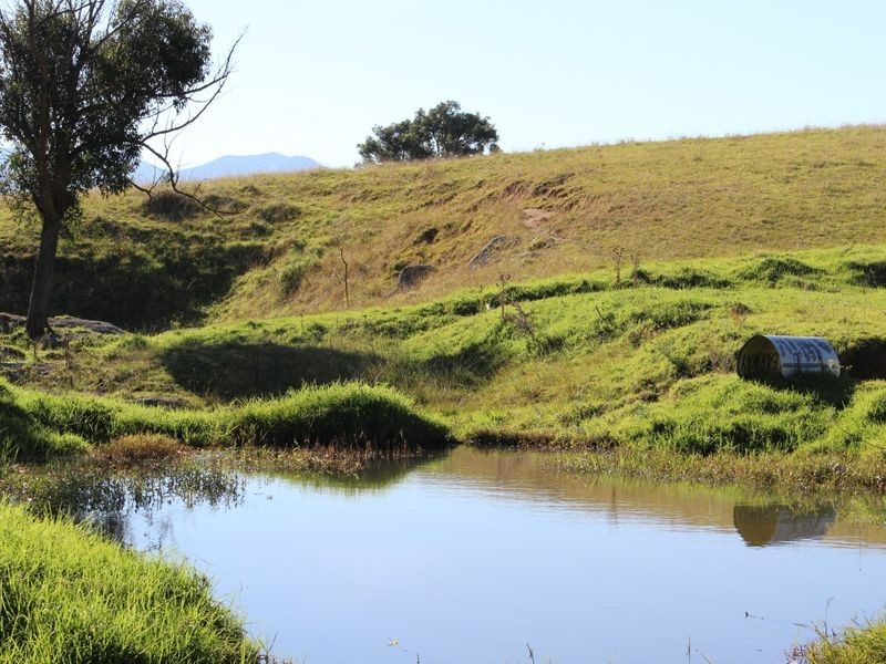 327 Alcock Collins Road, Bemboka NSW 2550