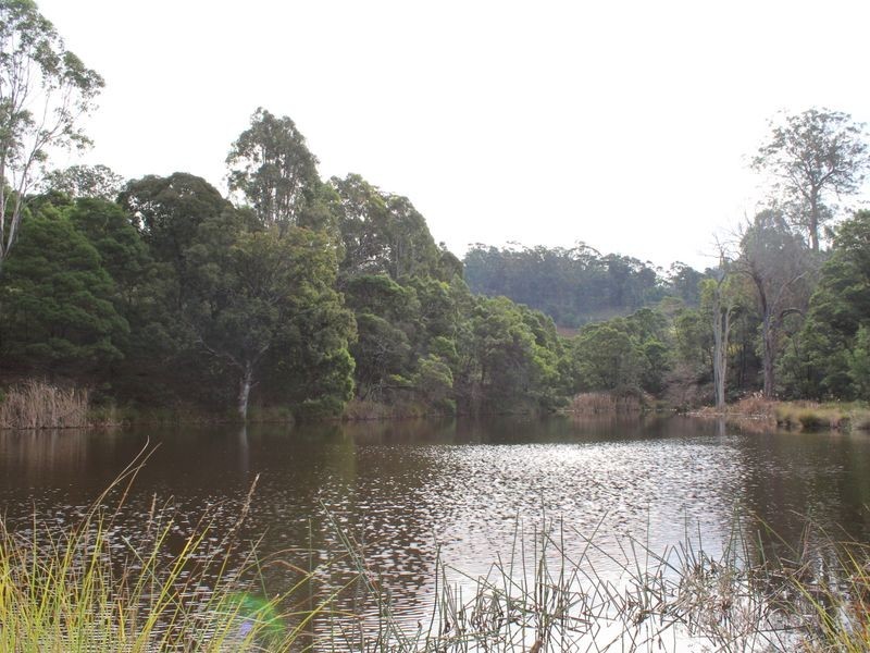 1099 Upper Brogo Road, Brogo NSW 2550