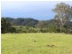 1099 Upper Brogo Road, Brogo NSW 2550