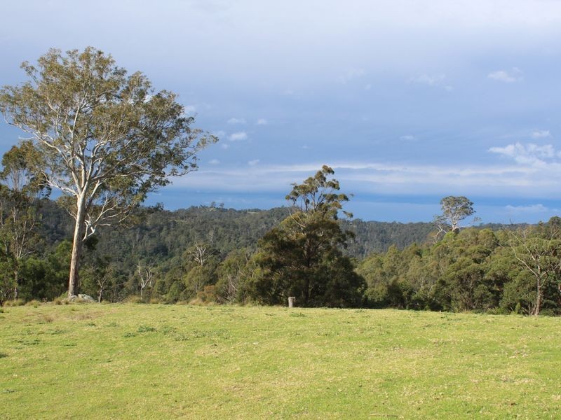 1099 Upper Brogo Road, Brogo NSW 2550