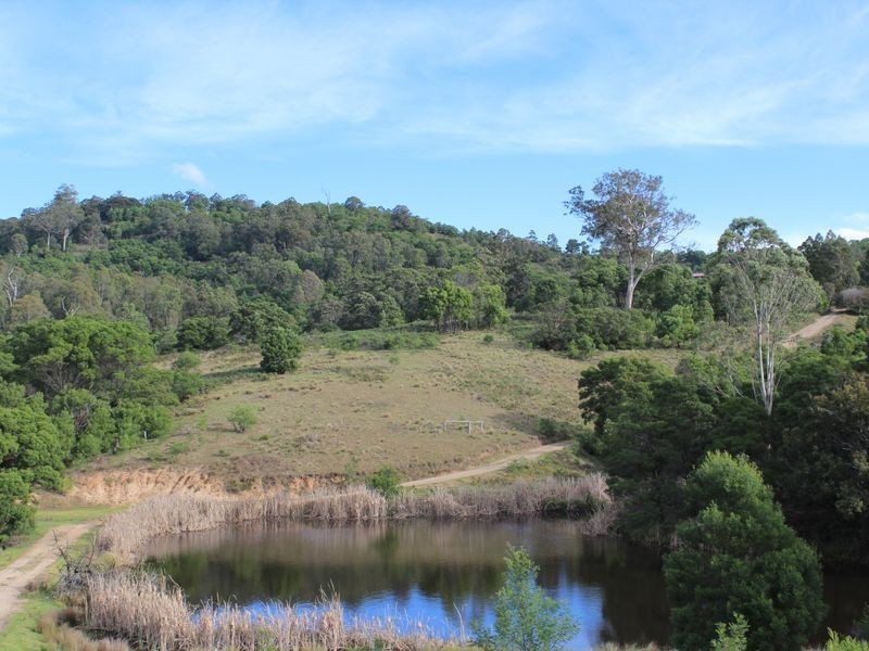 1099 Upper Brogo Road, Brogo NSW 2550