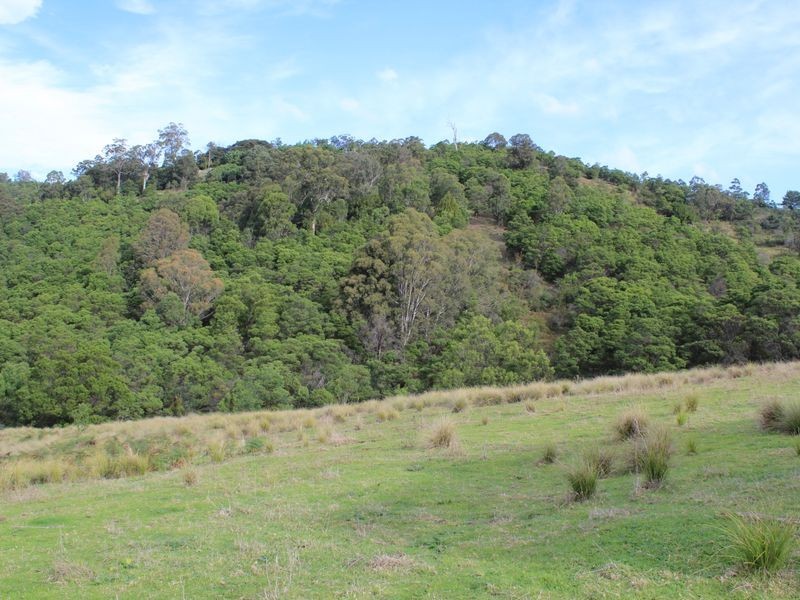 1099 Upper Brogo Road, Brogo NSW 2550