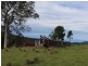 1099 Upper Brogo Road, Brogo NSW 2550