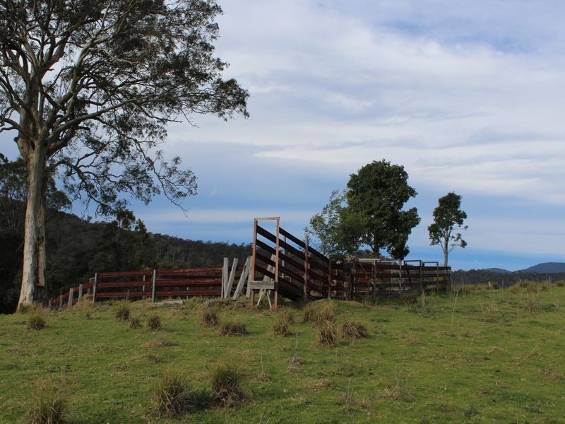 1099 Upper Brogo Road, Brogo NSW 2550