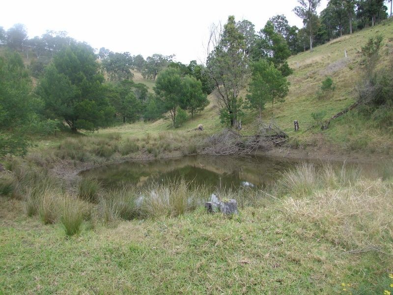 Lot 5432 Mount Pleasant Road, Bega NSW 2550