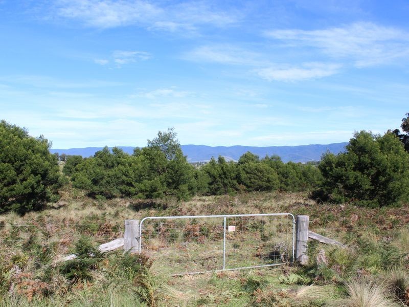 575 Yankees Gap Road, Bemboka NSW 2550