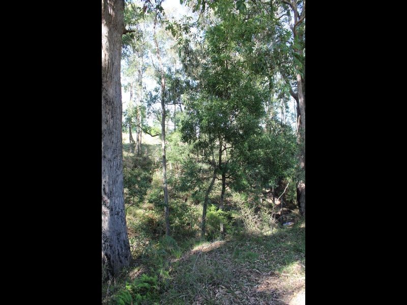 575 Yankees Gap Road, Bemboka NSW 2550