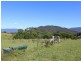501 Yankees Gap Road, Bemboka NSW 2550