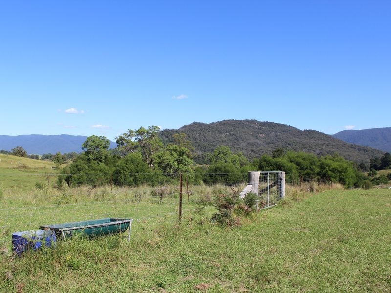 501 Yankees Gap Road, Bemboka NSW 2550