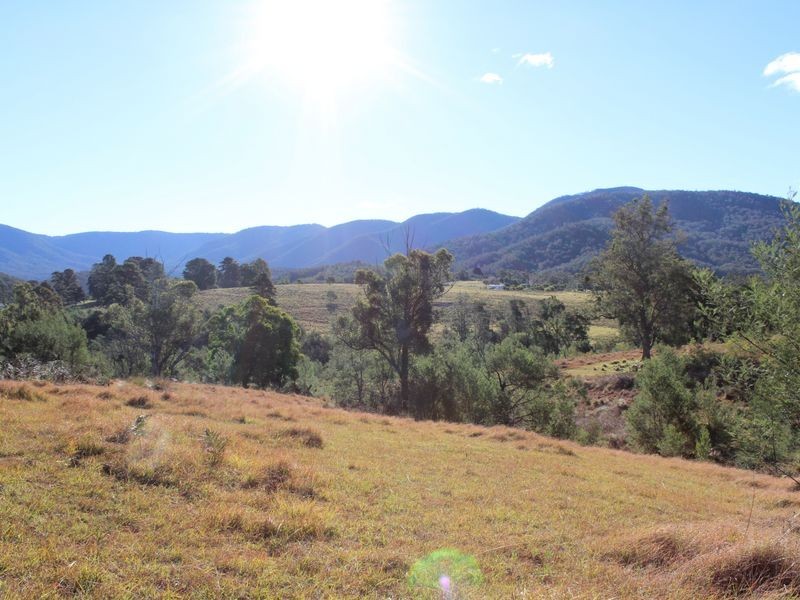 501 Yankees Gap Road, Bemboka NSW 2550