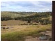 11115 Princes Highway, Cobargo NSW 2550