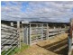 11115 Princes Highway, Cobargo NSW 2550