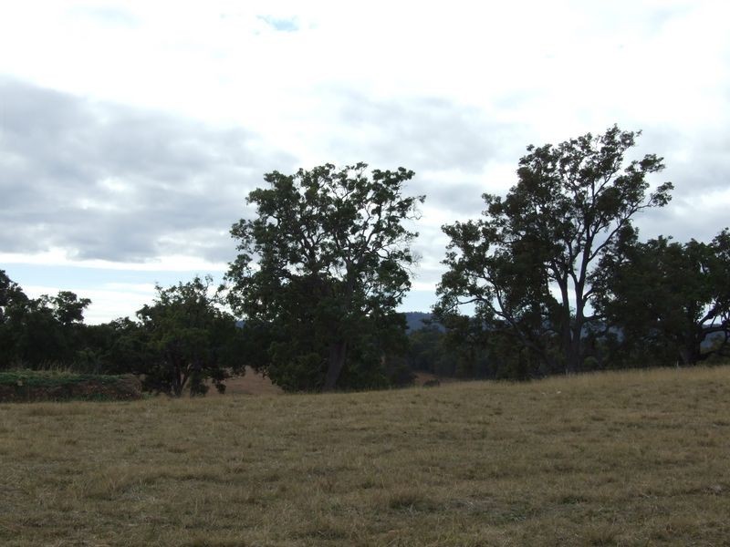 Lot 19 Wanatta Lane, Bega NSW 2550