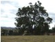 Lot 19 Wanatta Lane, Bega NSW 2550